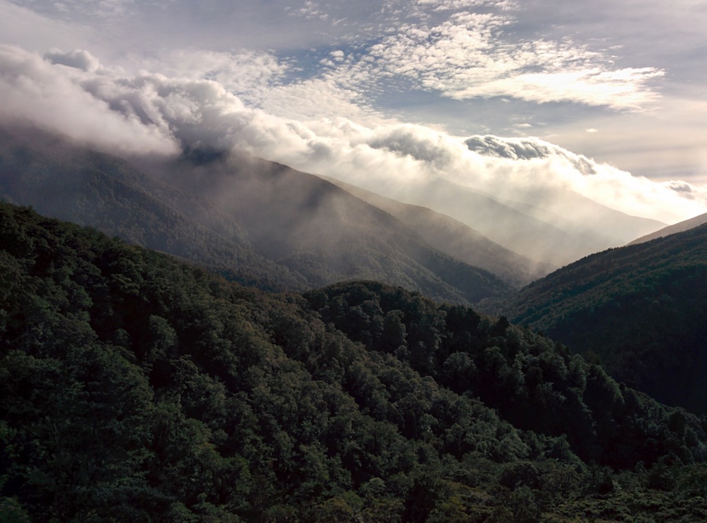 View from Rocky Lookout, Tararua Forest Parkr